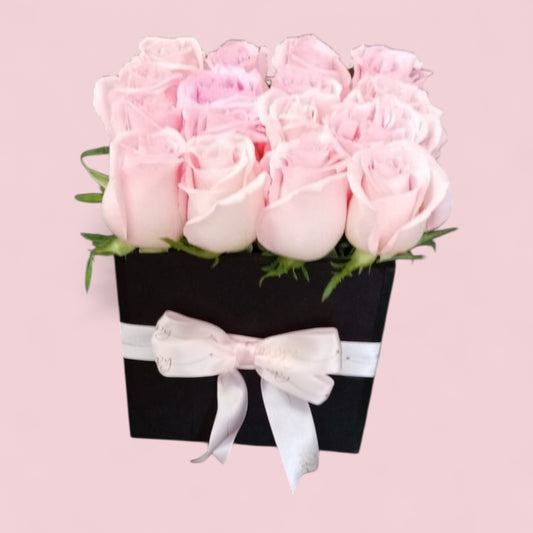 Mocorito rosa  (10 Mayo)