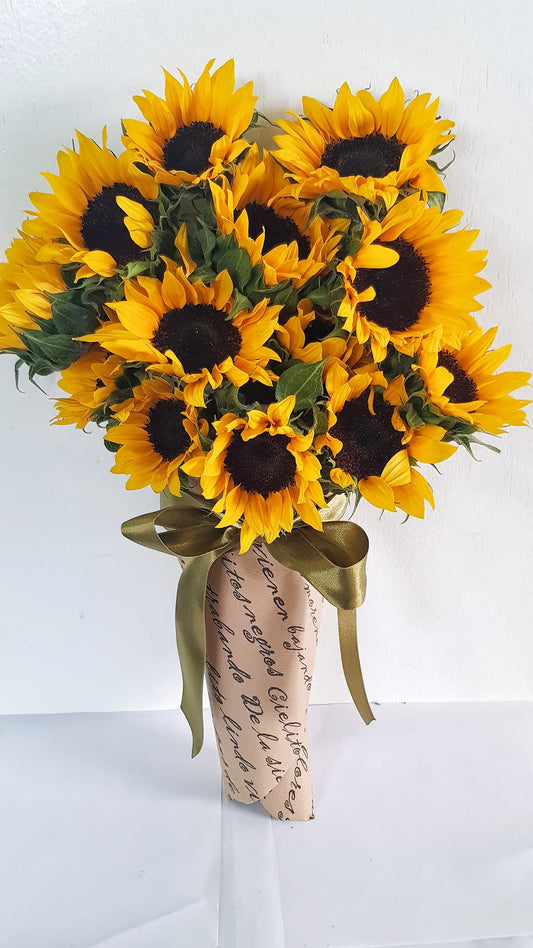 Alamos ( 10 Girasoles) 10 Mayo